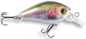 Wobler Robinson Arnie F35