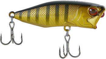 Popper Select Splash 53F