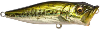 Popper Megabass PopMax F