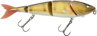 Golden Zander