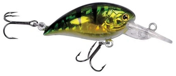 Wobler Robinson Buster