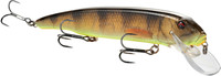 Black Perch