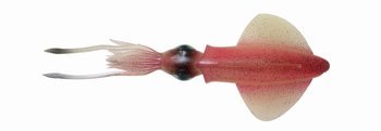 Guma Savage Gear 3D Swim Squid