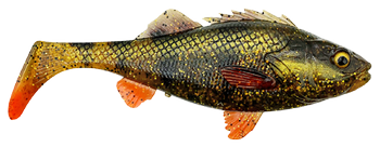 Guma Savage Gear 4D Perch Shad