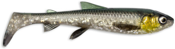 Guma kopyto Savage Gear 3D Whitefish Shad