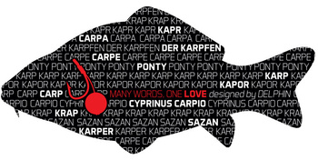 Naklejka Delphin KAPOR séria Words