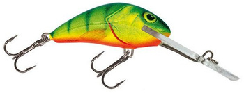 Wobler Salmo Hornet DR