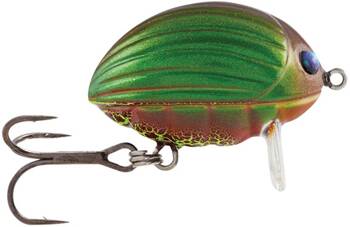 Wobler Salmo Lil' Bug