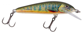 Wobler Salmo Minnow