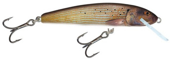 Wobler Salmo Minnow