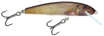 Wobler Salmo Minnow