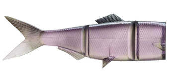 Zapasowe ogony Daiwa Prorex Hybrid Swimbait