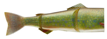 Zapasowy ogon Daiwa Prorex Hybrid Trout